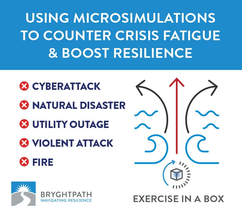 Article-Graphic-Microsimulations-Riptide Using Crisis Microsimulations to Counter Crisis Fatigue and Boost Resilience