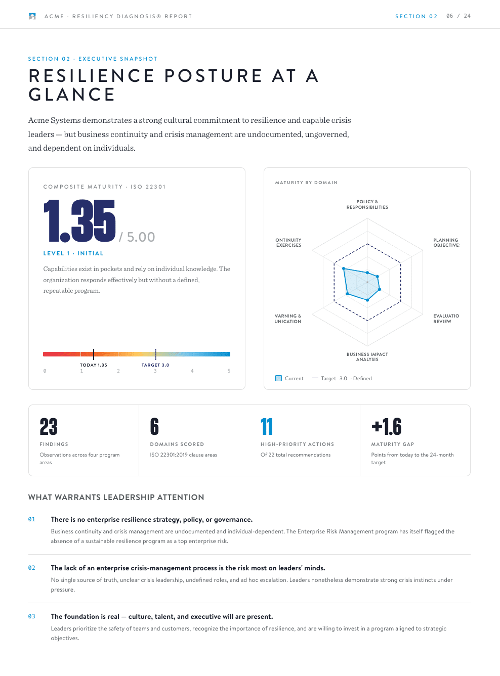 Resiliency Diagnosis sample report — executive snapshot